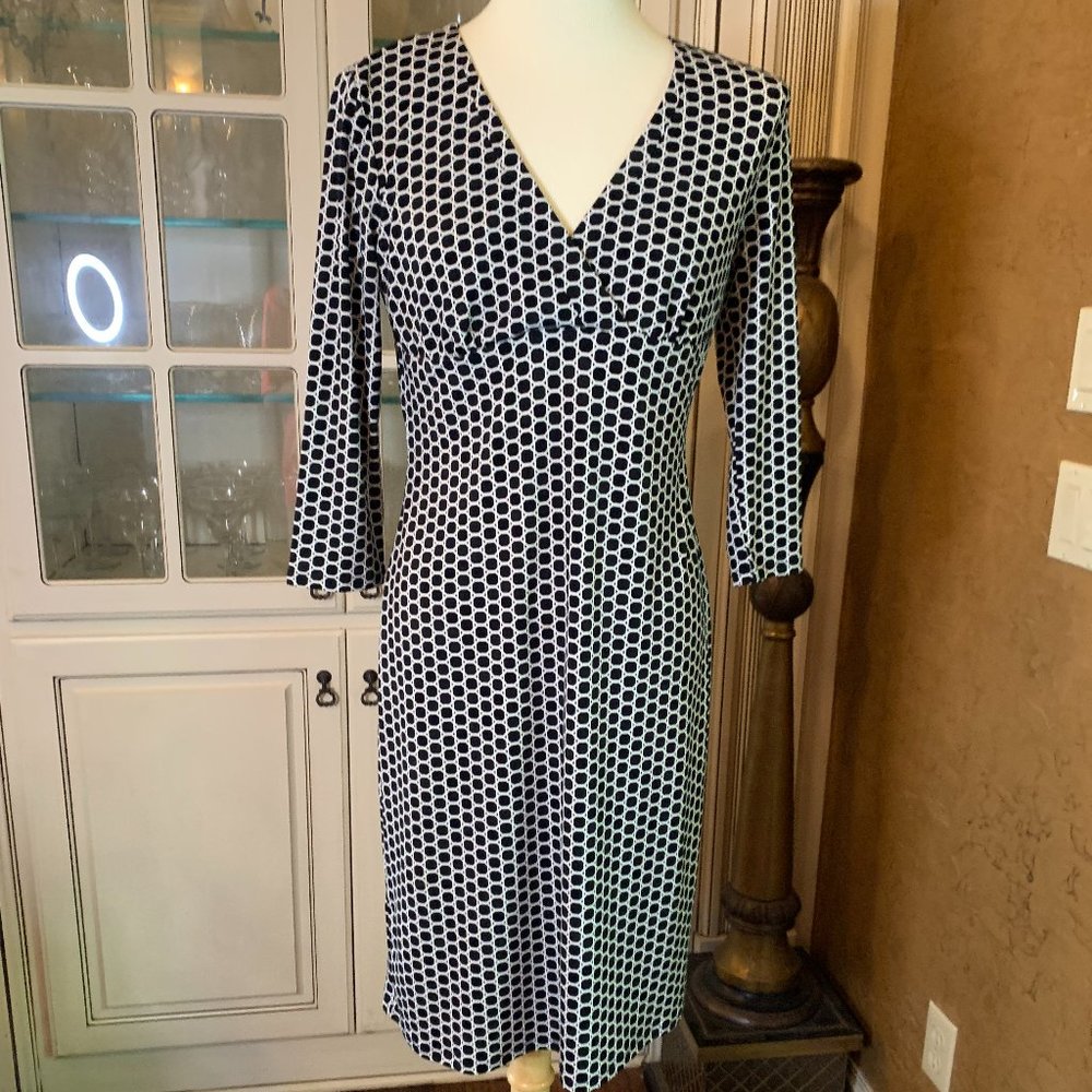 Ann Taylor Dress